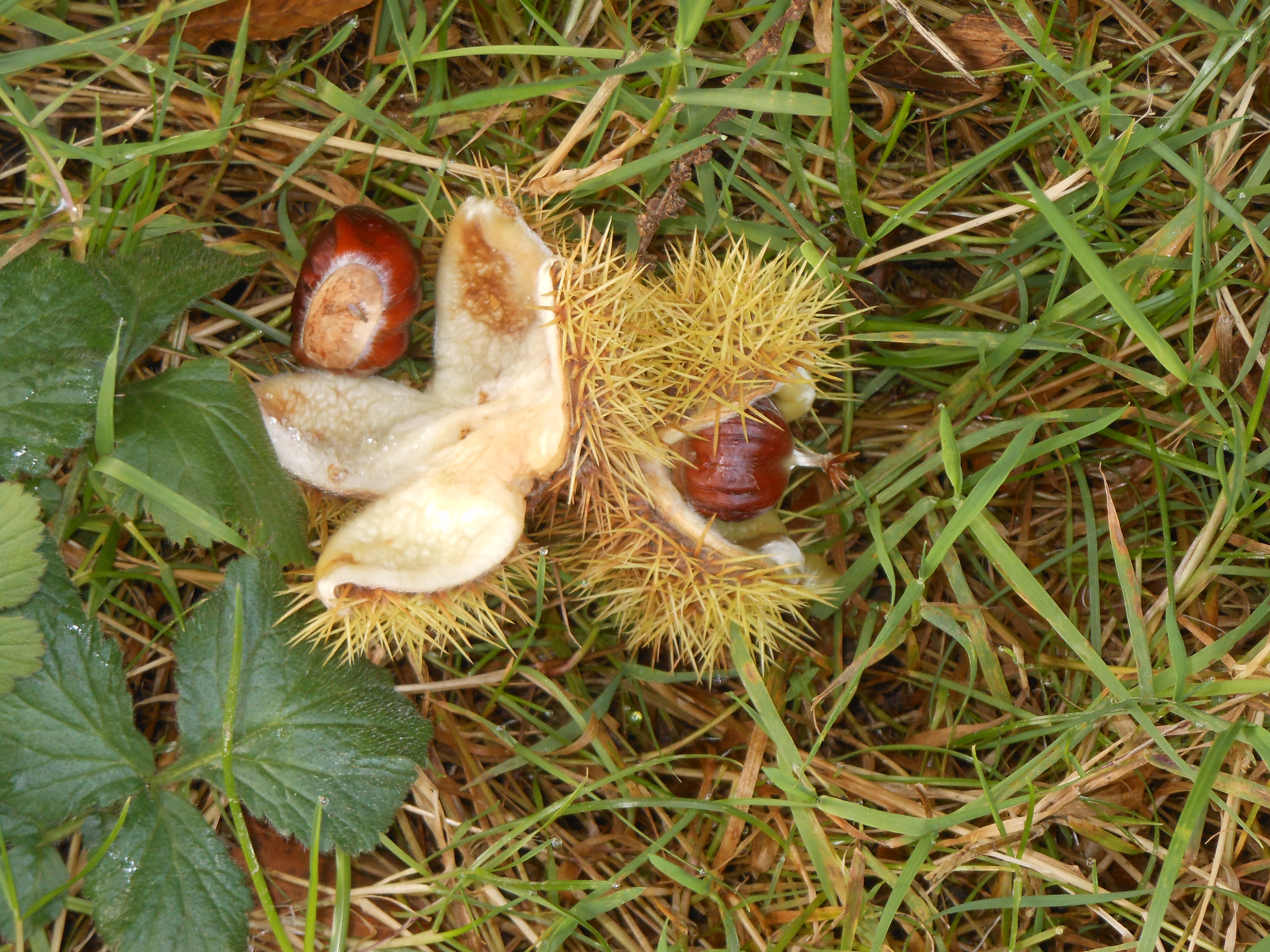Blog/Autumn 2020 Blog Pic 4